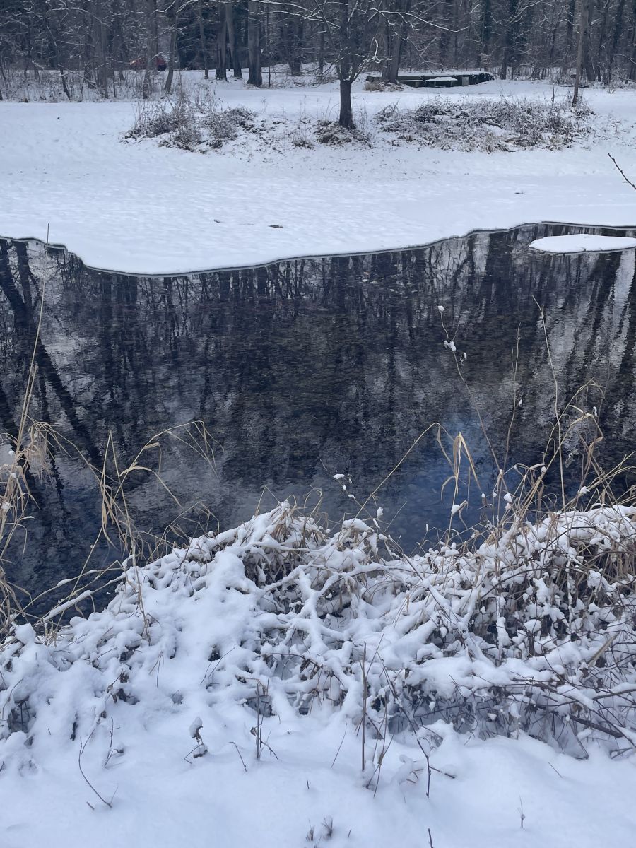 sehe Wunde sehe Licht